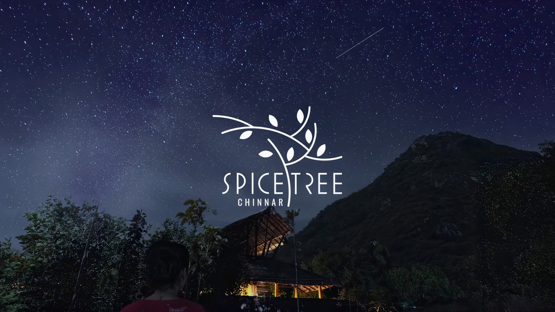 Cinematic AD SpiceTree Chinnar